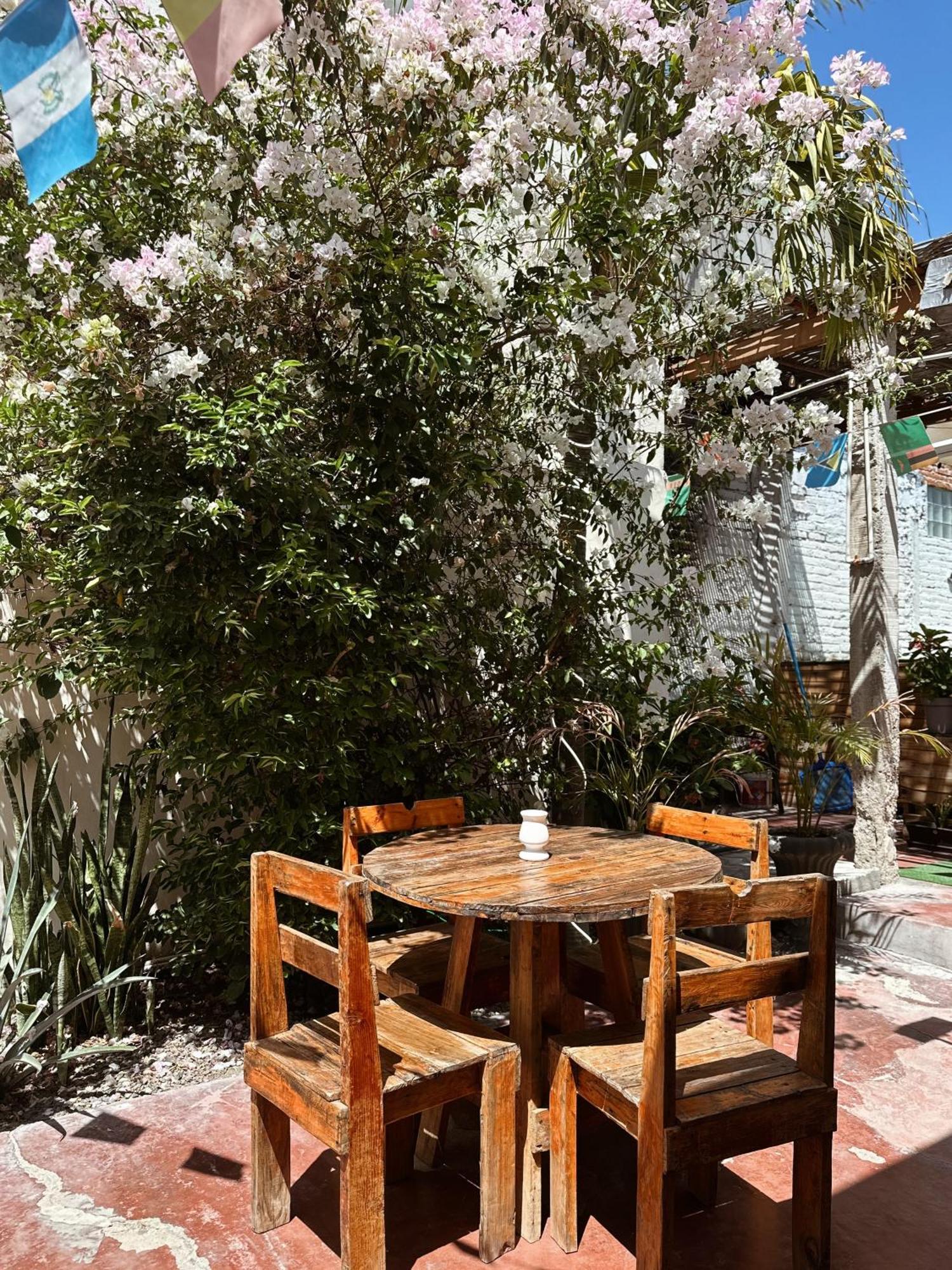 Sunset Hostel - Centro - لاباز المظهر الخارجي الصورة